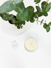 Load image into Gallery viewer, CLEANSE